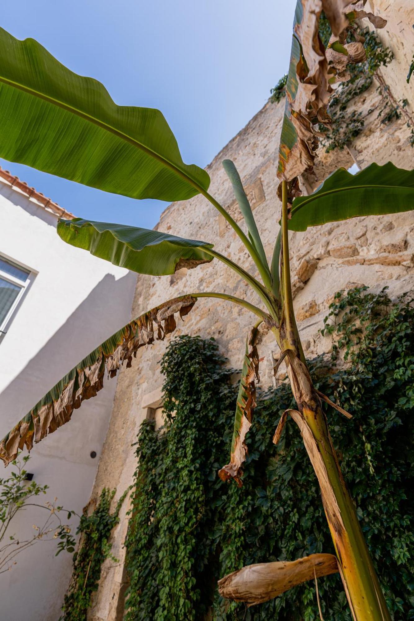 سيراكوزا Isabella Di Castiglia Apartments المظهر الخارجي الصورة